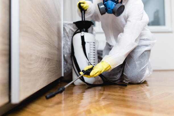 Best Pest Prevention Services  in Fair Haven, NJ