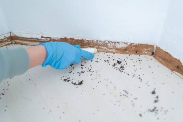 Best Affordable Pest Control Services  in Fair Haven, NJ